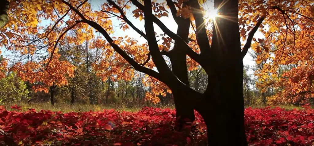 Autumnal Equinox